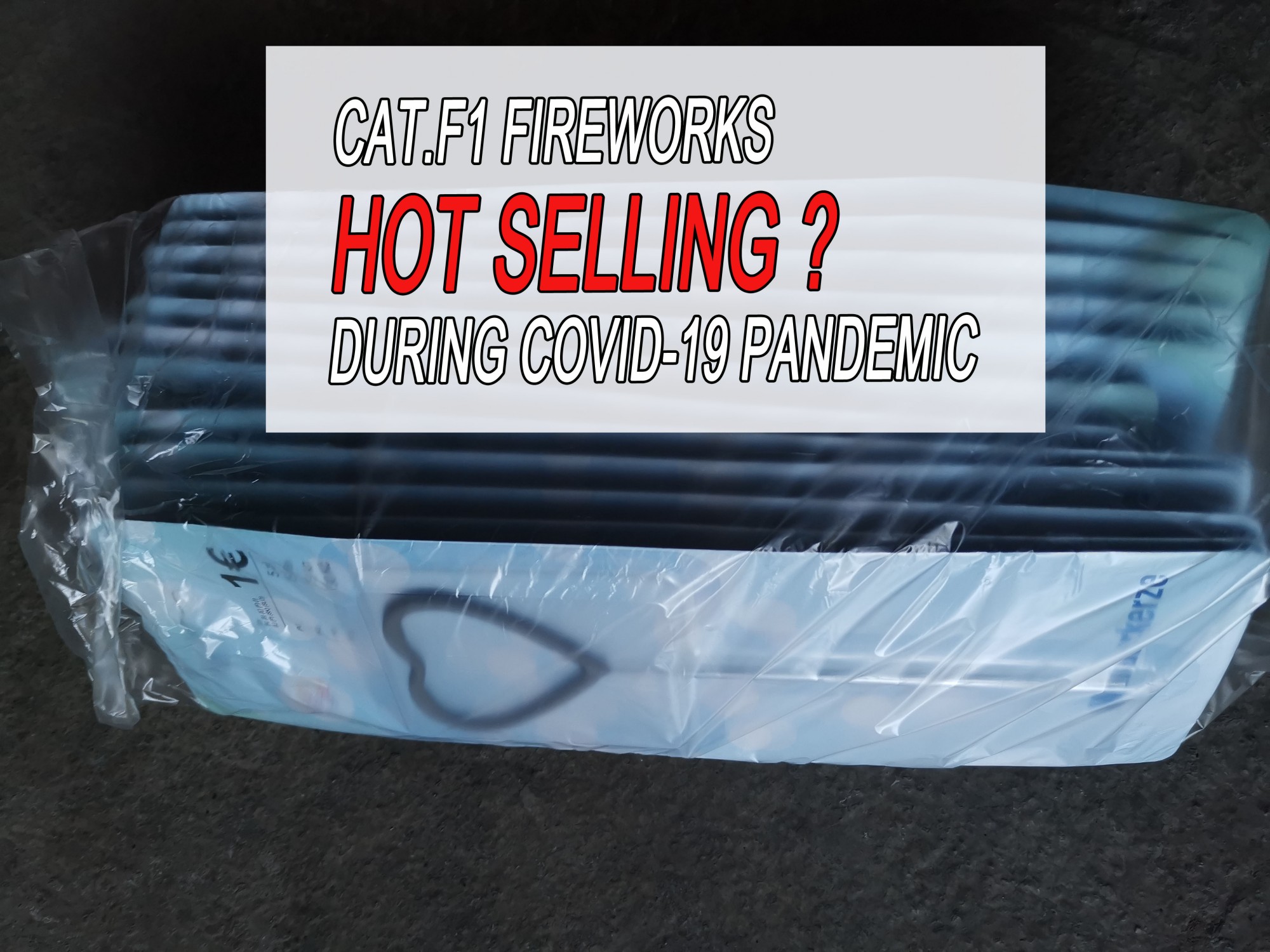 Кошка. Бенгальские огни F1 пользуются большим спросом на рынке ЕС1 Кошка. Бенгальские огни F1 пользуются большим спросом на рынке ЕС1