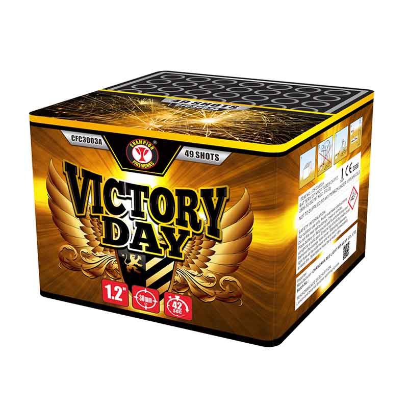 Victory Day 49 Shots