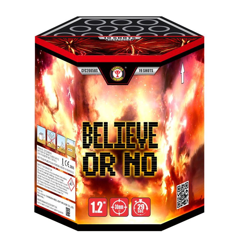 Che ci crediate o no 19 colpi