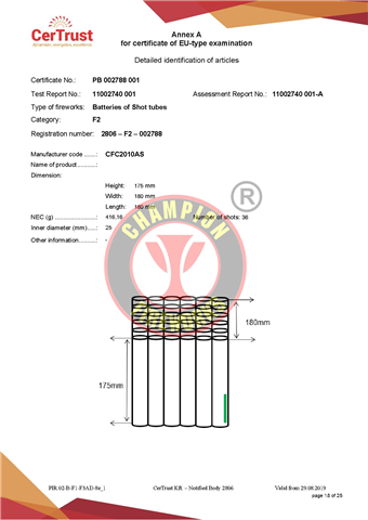 CFC2010AS (2) CFC2010AS (2)
